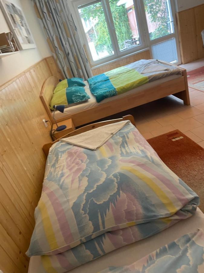 فندق Penzion Fontana Náměšť nad Oslavou المظهر الخارجي الصورة